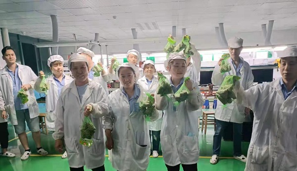 午夜成人在线观看新能源鋰午夜神马福利廠家,向鋰電芯生產線發放端午福利